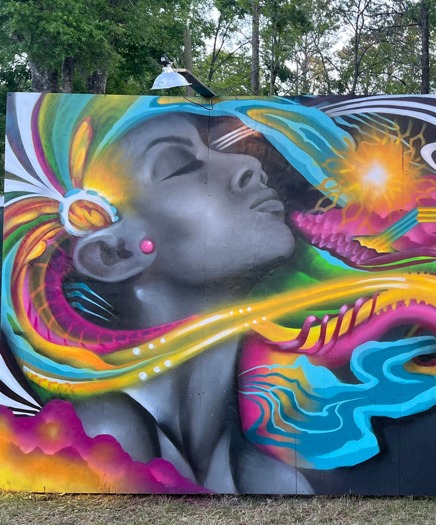 Discover Raw.Sol's Latest Art Projects: Murals and Collaborations