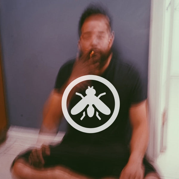 Insektocide album artwork: Perfecto Insekto with his circular insect emblem